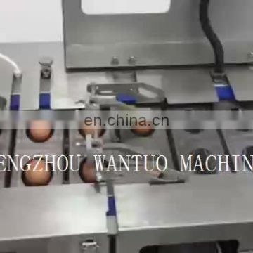 Professional egg white and yolk separator/Egg separating machine