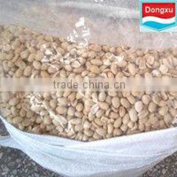 blanched peanut kernels in 25kg vacuum bags