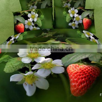 2014 hot selling 3D new flower style bedding set,4pcs 100%cotton reactive twill wholesale
