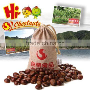 Best quality and price raw chestnuts from china