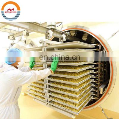 Commercial automatic fruit freeze drying machine auto industrial vacuum freeze-drying equipment cheap price for sale