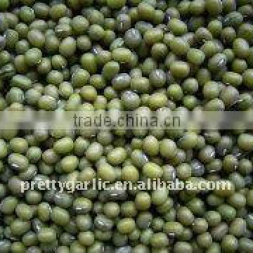 green mung beans crop 2011