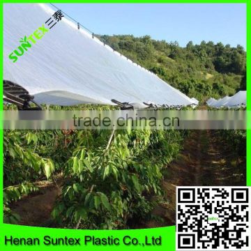100% virgin with UV treated fruit protection cover/woven transparent pe tarpaulin                        
                                                Quality Choice