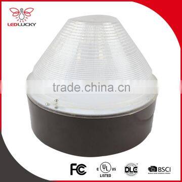 FCC 30 watt metal retrofit outdoor led canopy light