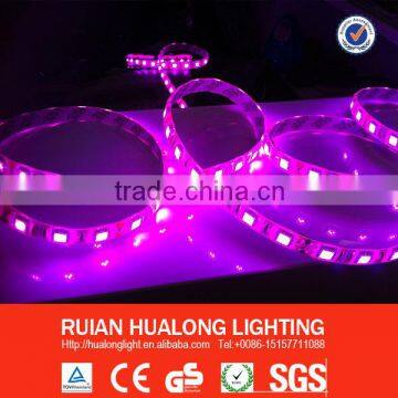 SMD 5050 3M Tape Beautiful LED Strips for Window Show