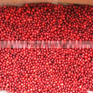 IQF frozen Lingonberry/cowberry with good quality and hot price