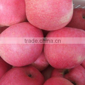 fresh qinguan apple 100-113-125 18/20kg carton packing