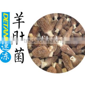 2016 Dry Morchella esculenta market prices for mushroom