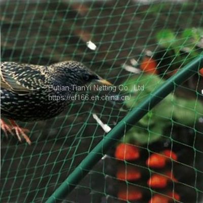HDPE 8gsm 8X8M green color anti bird net, agricultural net,greenhouse tool, garden net, protect crops