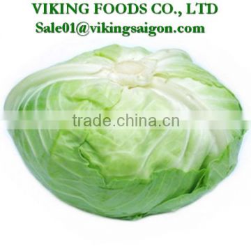 *2016 _ Fresh Green Cabbage _ Good Quality*