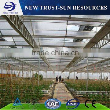 Polycarbonate/ PC sheet greenhouse with hydroponic system