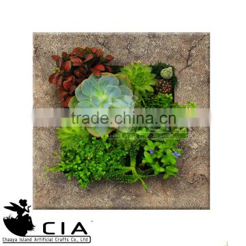 Wooden Frame Fake Moss and Succulents Home Decoration