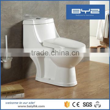 Sanitary ceramic eddy flush toilet parts