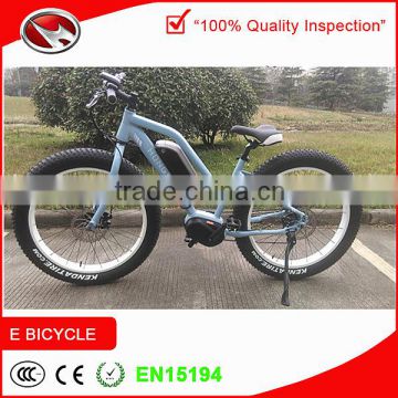 High quality 8FUN mid-motor tailg e bike with samsung cell lithium battery
