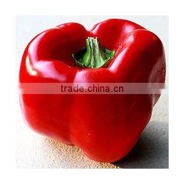 High Quality for Oleoresin Paprika