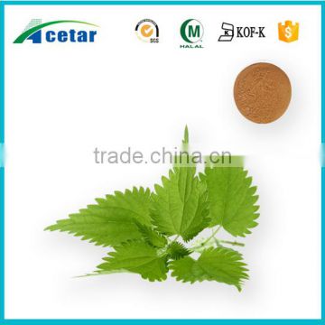 pure natural herb Urtica dioica extract muscle powder increasing supplement