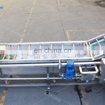 CE Approved Spinach Lettuce Celery Leaf Vegetable Air Bubble Washing Machine