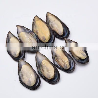 frozen mussel half shell mussel meat