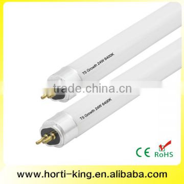 T5 HO tube 2FT 24W 6400K Growth Fluorescent T5 Grow Light                        
                                                Quality Choice