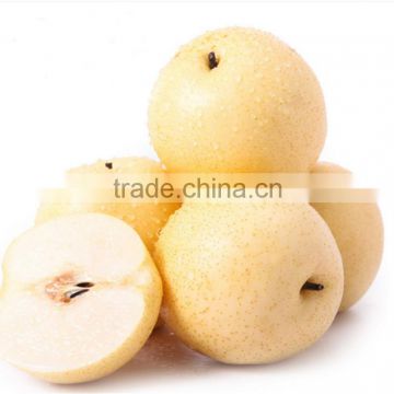 New Type certification appoved cheap fresh pears