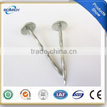 umbrella head roofing nails with rubber washer 25kg/ctn