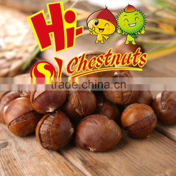 Roasted Shelled Chestnut Snacks--ready to eat healthy nuts snacks
