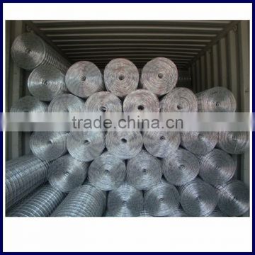 high quality 1/4inch welded wire mesh electro galvanized from anping direct factory