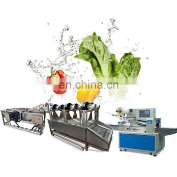 China Gold plus supplier fruit washer price	fruit washer industrial fruit washer