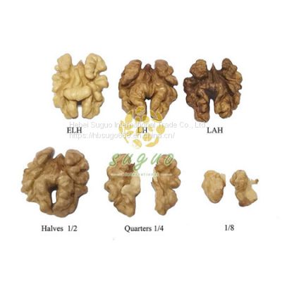 Walnut Kernels      China Walnut kernel Halves Exporter     China walnut kernel Manufacturers