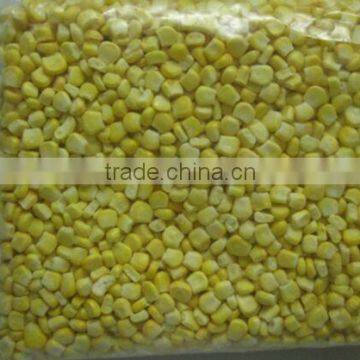 high quality frozen sweet corn with best price