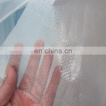 transparent plastic sheet,transparent plastic awning,high quality pe tarpaulin