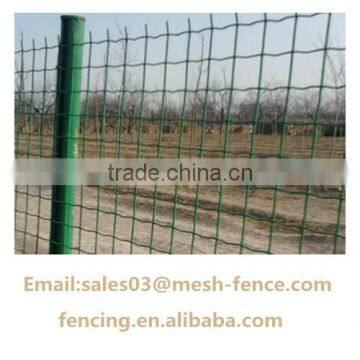 Used for Road 1.7/2.2mm Galvanized Euro Fence with big discount