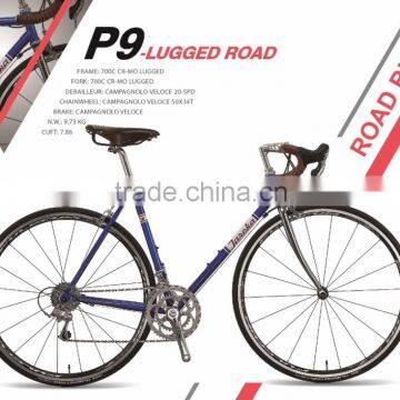 P9- LUGGED ROAD