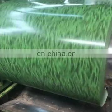 Zinc GI steel coil PPGI  PPGL color coated galvanized steel sheet in coil