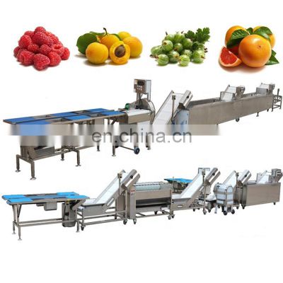 Fruit juice and vegetables washing high pressure bubble cleaning machine production line