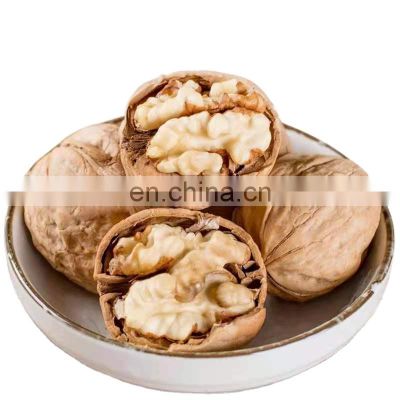 mango blanched 2021 walnut 185 kernal kernal green walnut with flavour seedlingw indian squirrel pecan walnut seeds