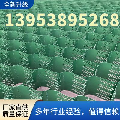 High strength honeycomb geogrid chamber for grassing and slope protection TGLG-PE-75-500-1.5