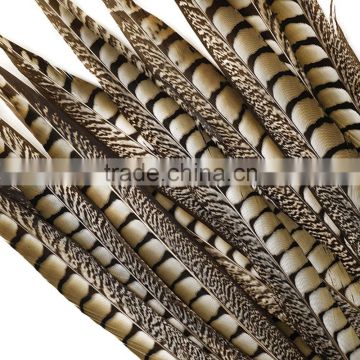 16"-18" Wholesale Cheap Natural Lady Amherst Pheasant Feather Tail For Sale