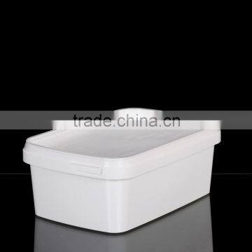 1000ml Rectangular Ice Cream Box / Container