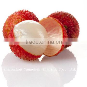 Hottest Promotion Canned Lychee Fruits
