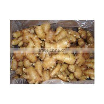 Sell High Quality Air-Dried Ginger to Europe