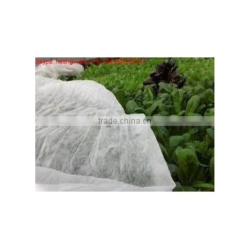 PP spunbond non-woven fabric for agriculture cover 65gsm