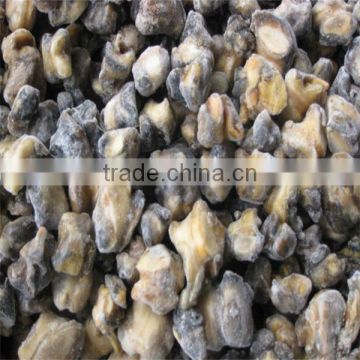 sea food and frozen cleaning conch meat