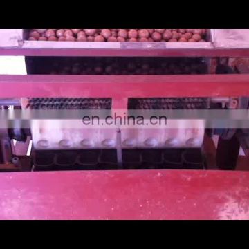 Full automatic macadamia nut opening machine/macadamia nut cracker machine