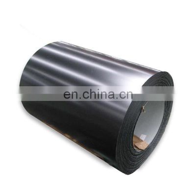 Color Coil prepainted ppgi coil High Quality PPGI/PPGL Colored Metal Roll  Black White Coil