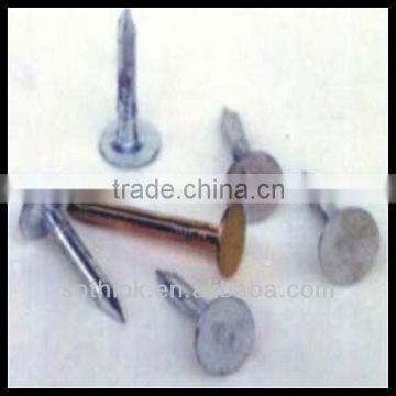 ring shank electric galvanized flat head roofing nails