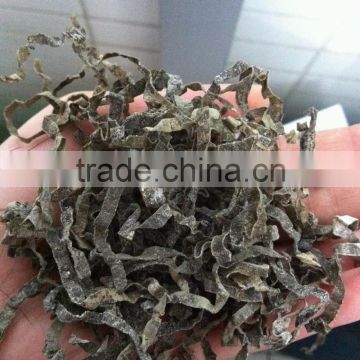 Professional Manufacturer Natural Dried Sea Kelp Cut for Sale