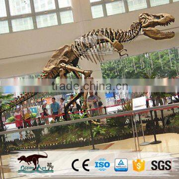 OA-SD-L100 Quality Fossil Replica Museum Dinosaur Skeleton