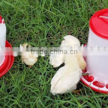 hanging bird water feeder for poultry drinker for sale