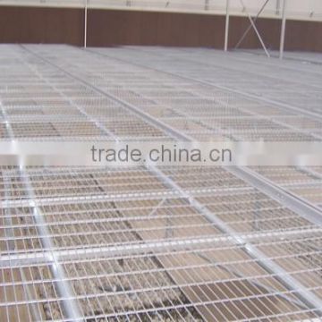 seedbed benches with 2.5millimeter wire mesh